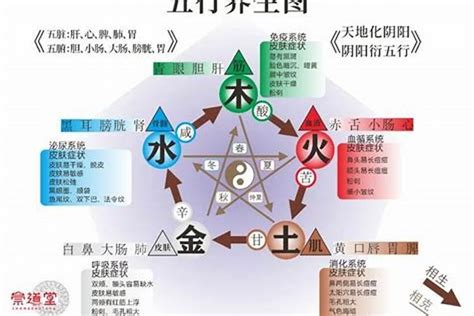 五行缺火土|五行缺土，如何补充与调整？